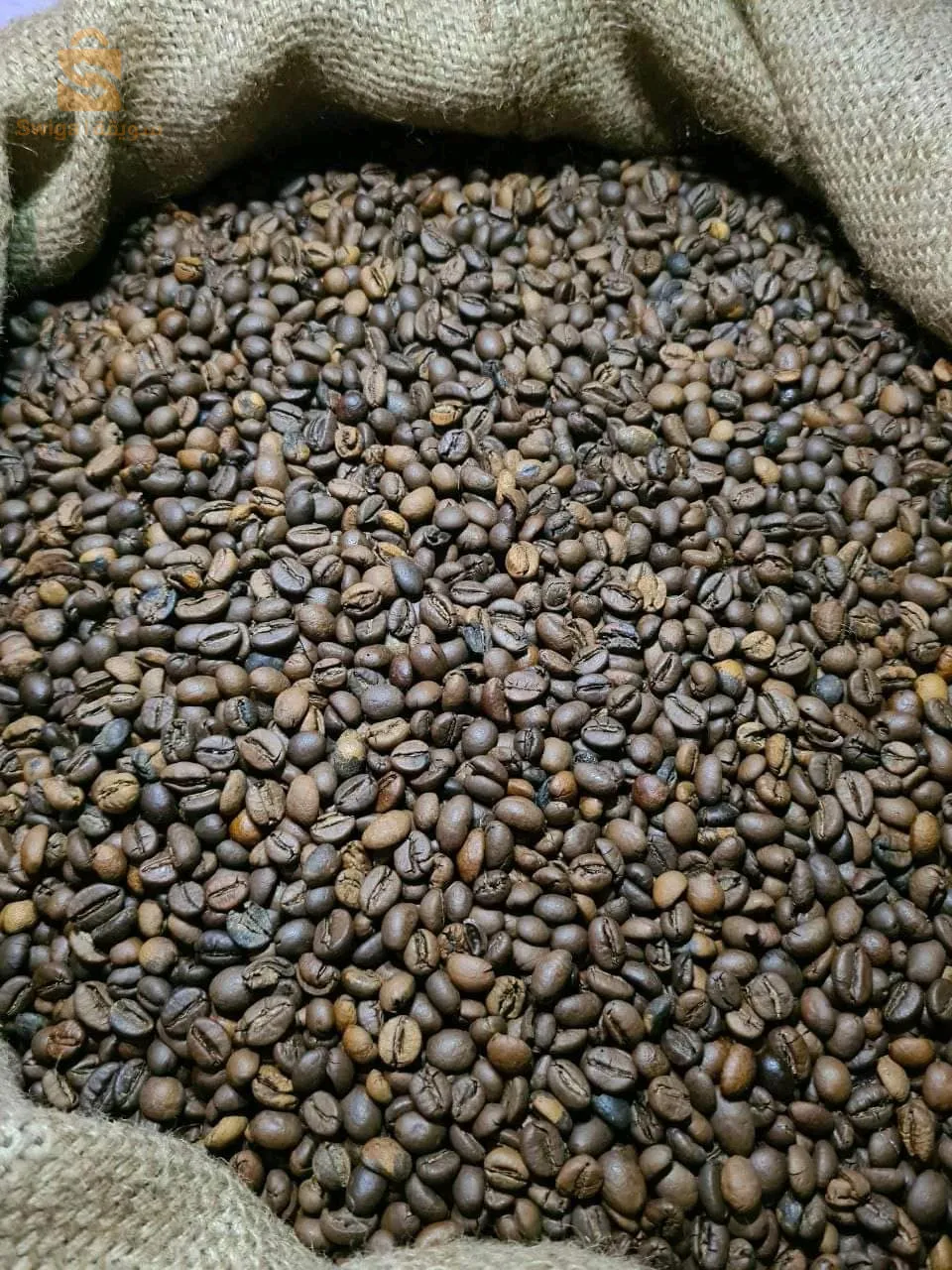 أجود أنواع القهوة لأصحاب المقاهي