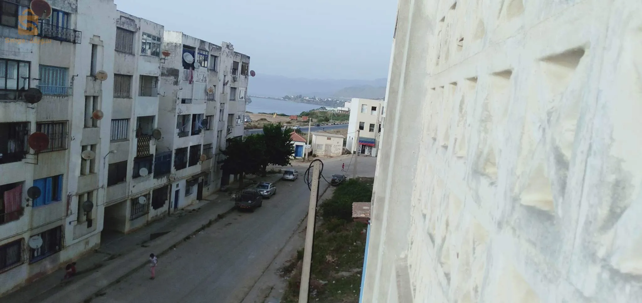 زيامة منصورية