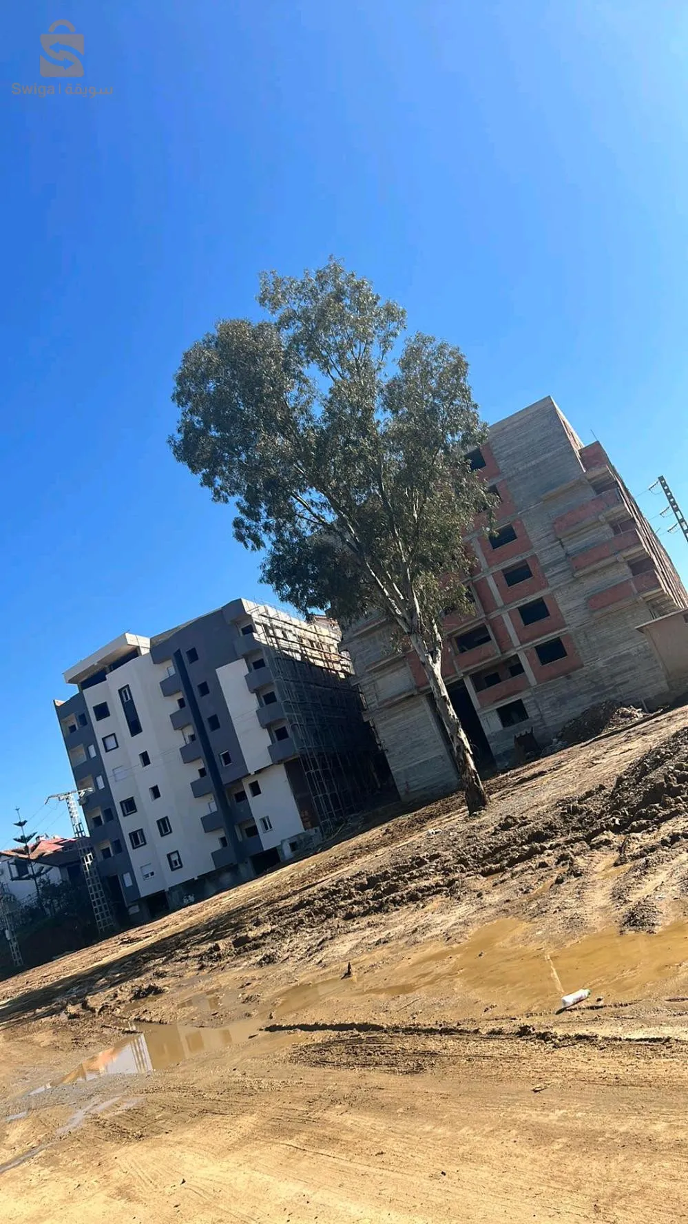 بومرداس حي الفوعيص