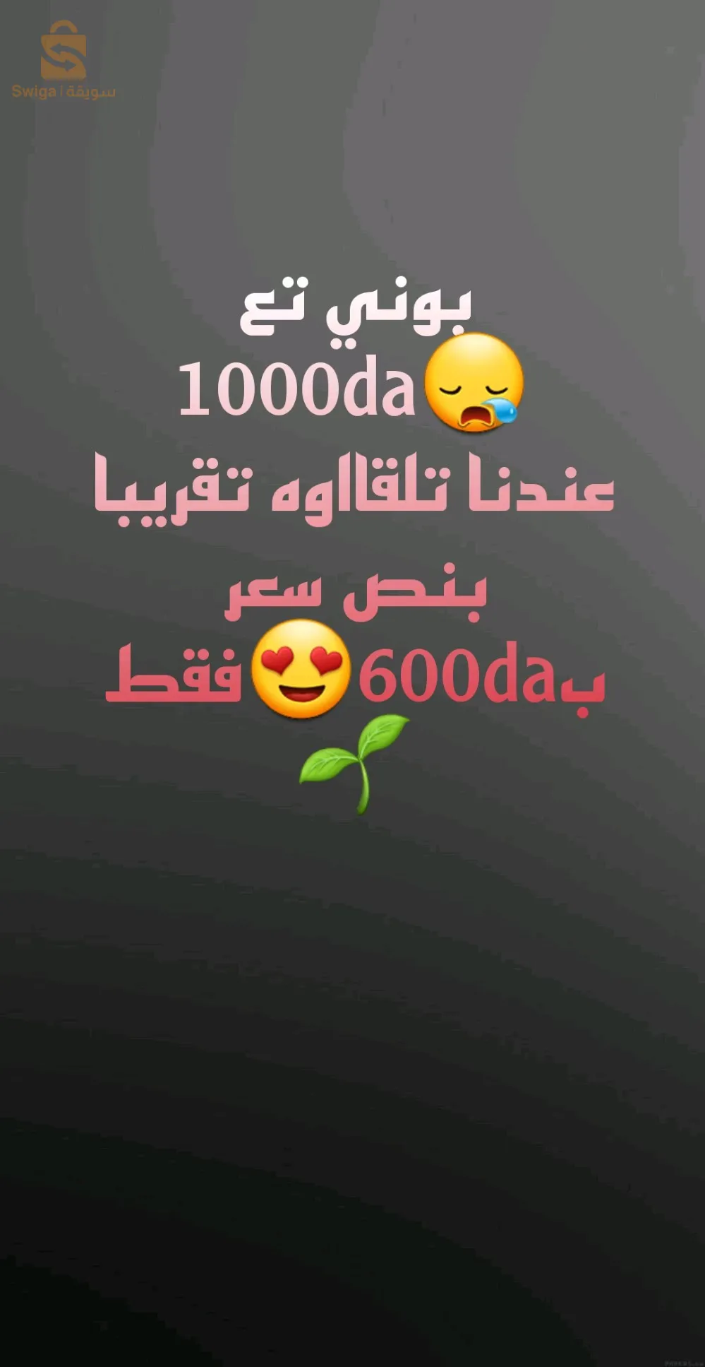 قبعة شتوية ذات جودة عالية البيع بتجزءة فقط