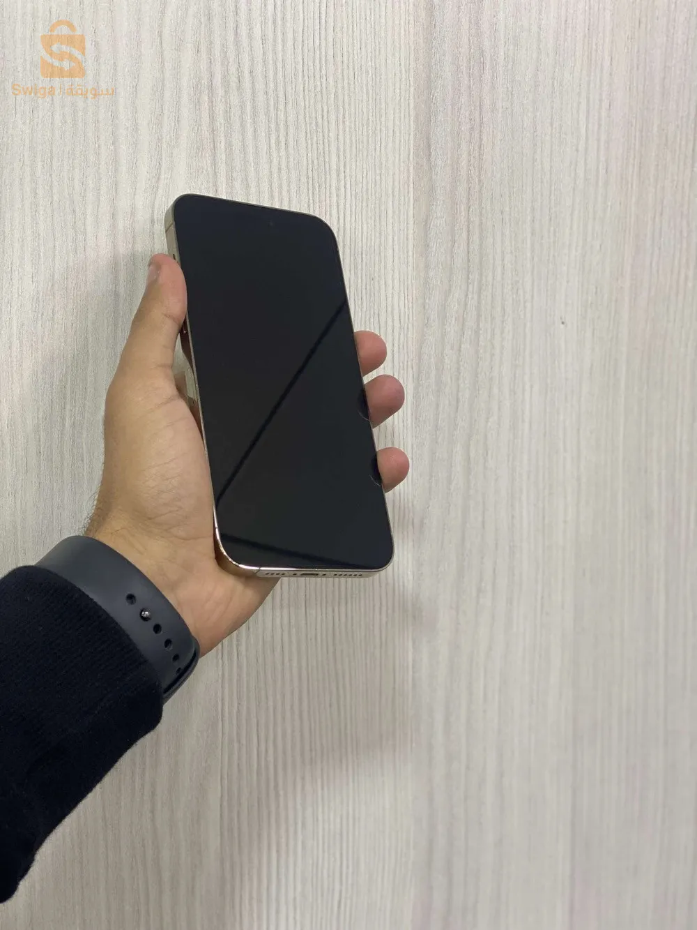 كاليتوس الجزائر