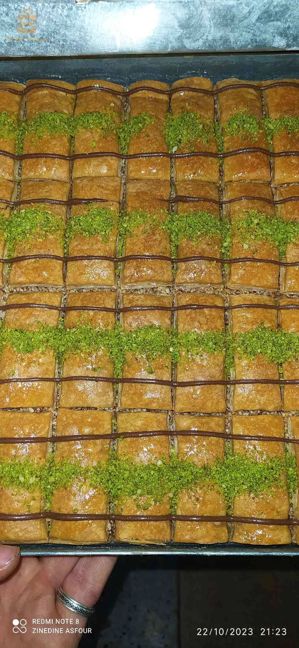 العلمة