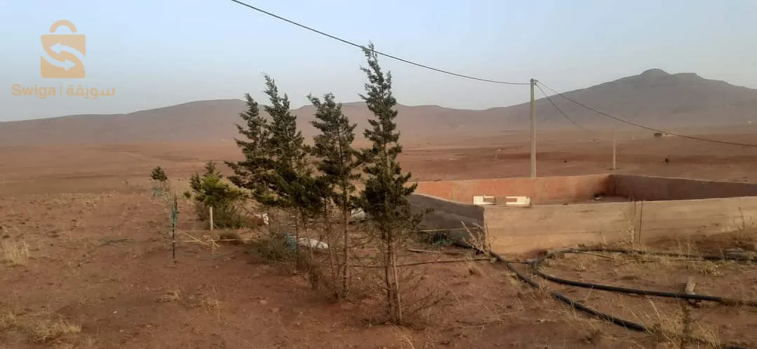 20 كلم على مدينة البيض عبر طريق تيارت