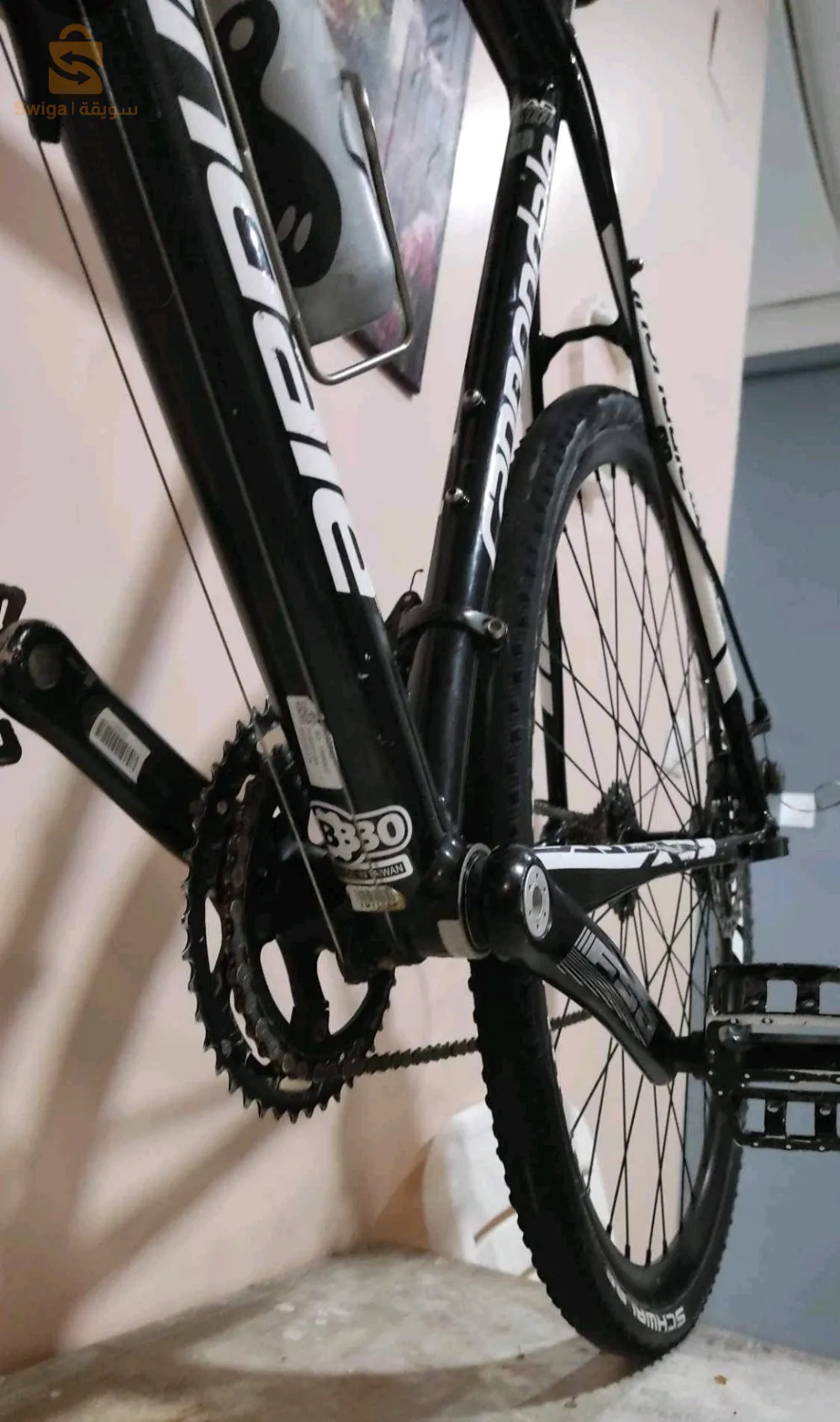 velo Cannondale
