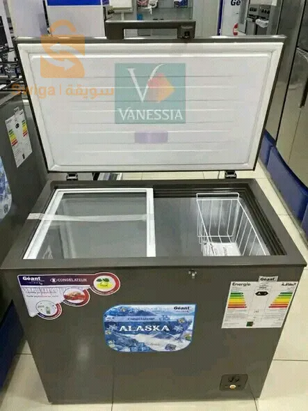 Congélateur de la marque géant