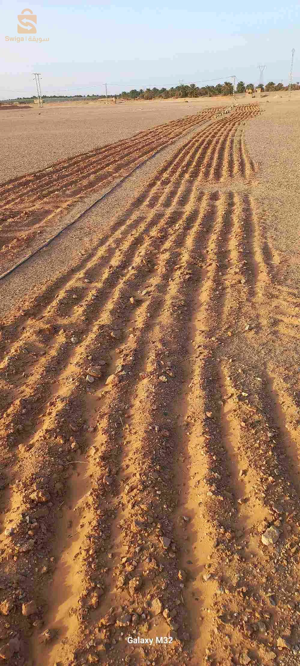 زاوية سيدي عبد الله اوقروت ولاية تيميمون