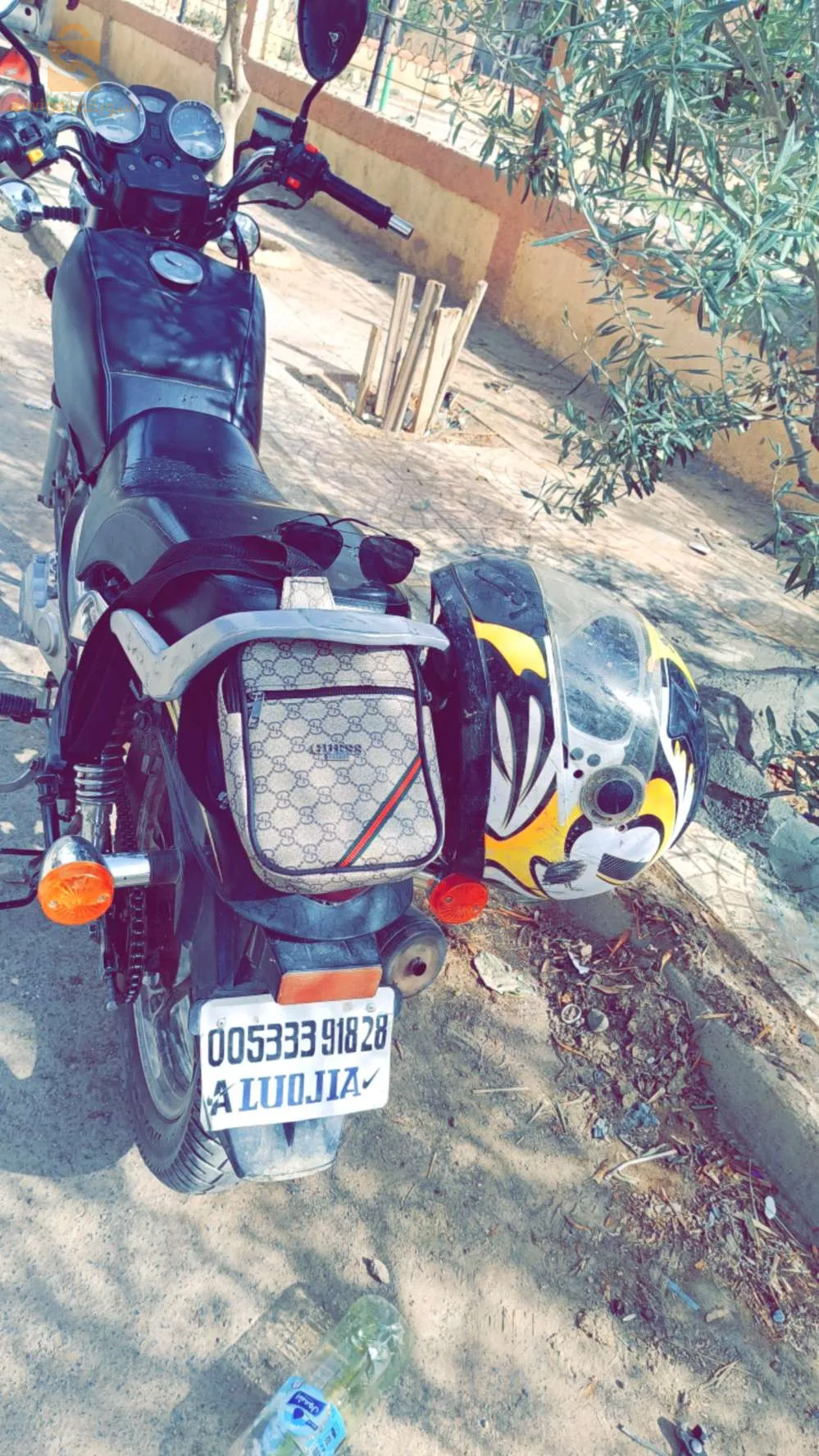 عين الخضراء المسيلة