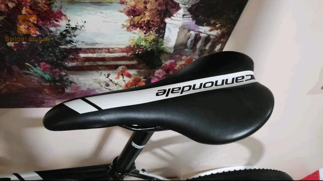 velo Cannondale