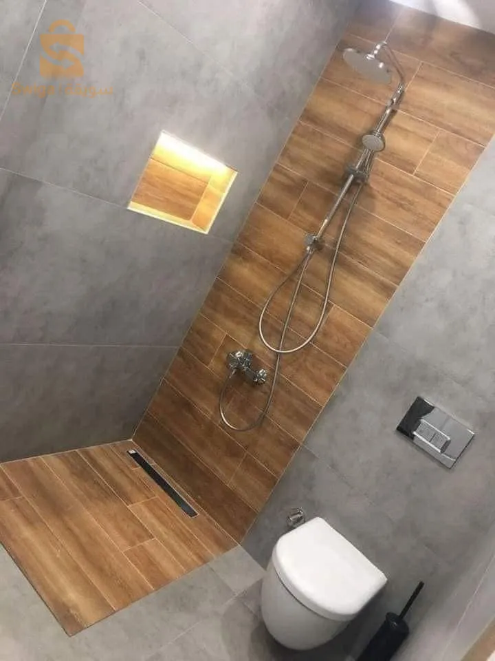 الجزائر ونواحيها