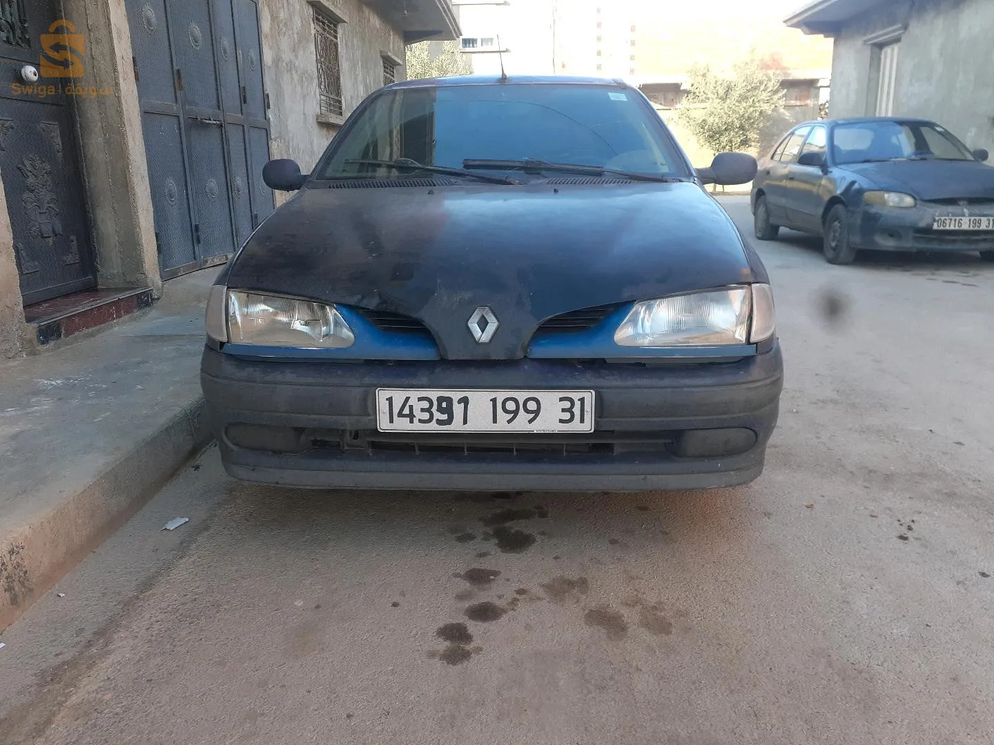 لوطو نقية روح وين حبطت