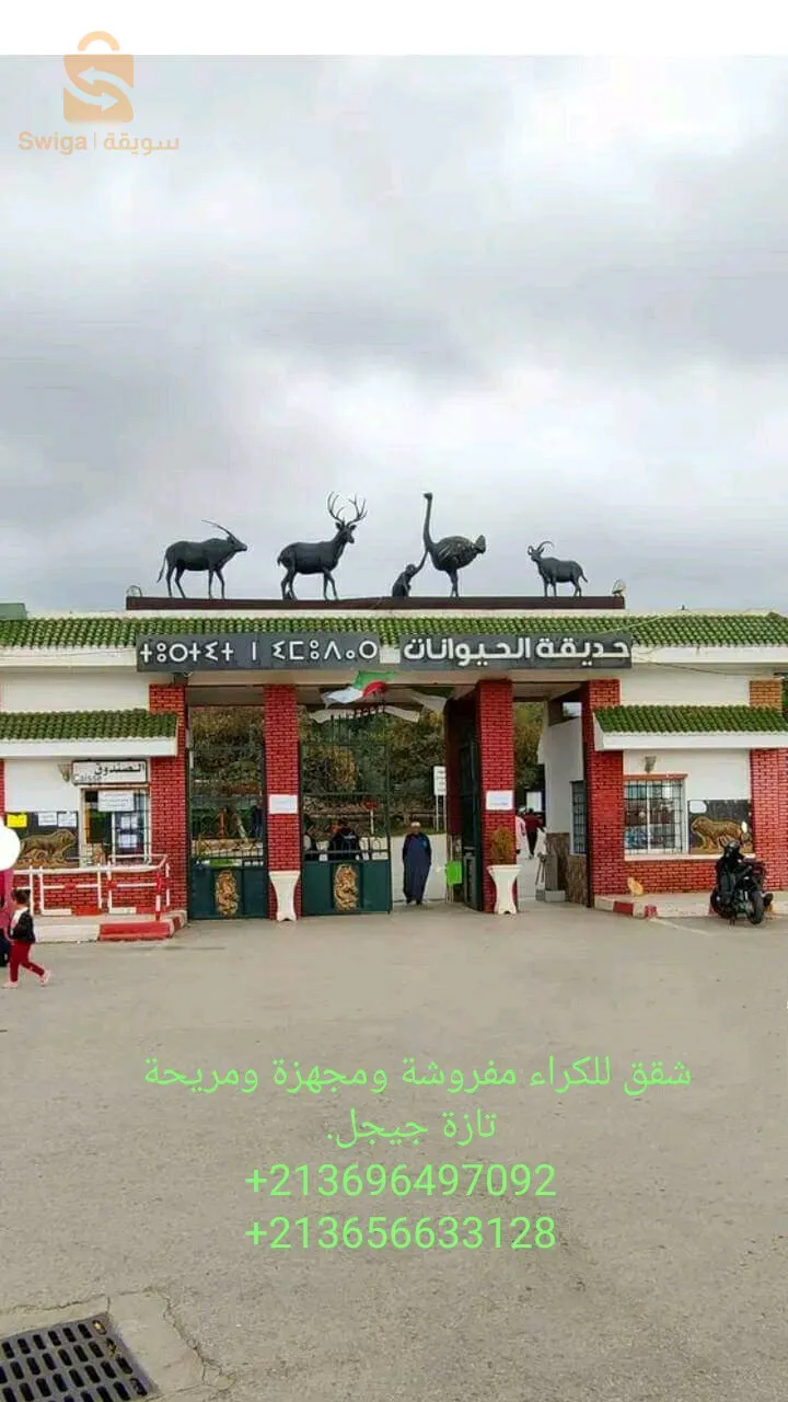 تازة جيجل