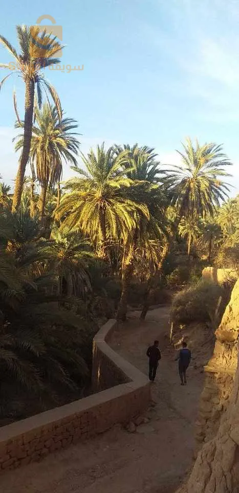 رحلة إلى الجنوب الغربي كاملا 💥