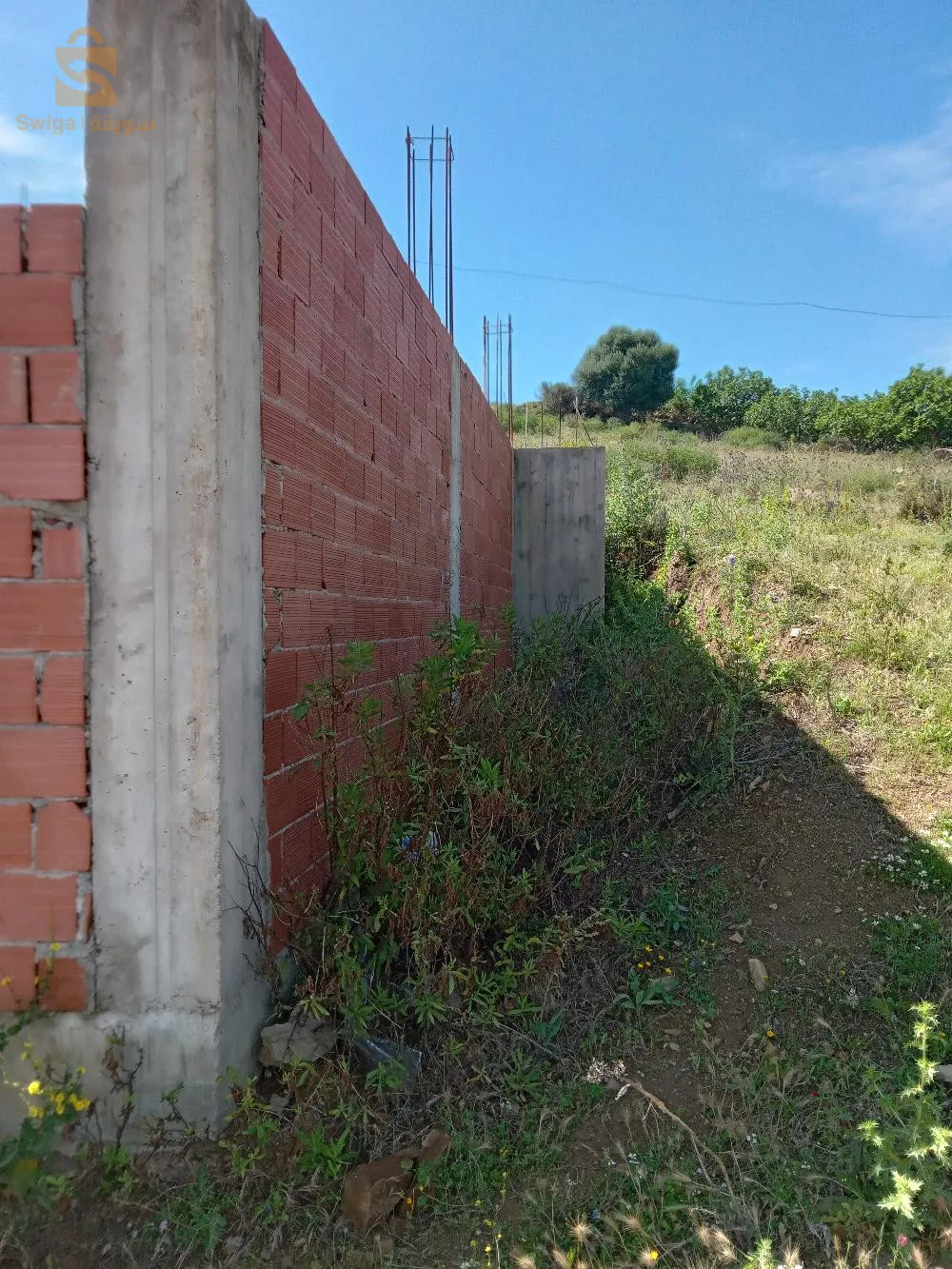 بلدية اولاد سلامة