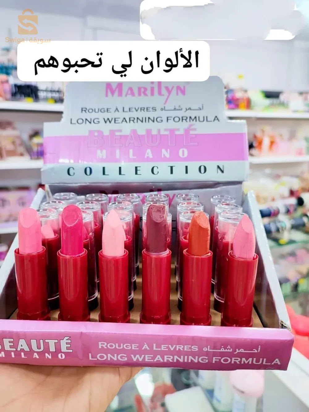 الشلف