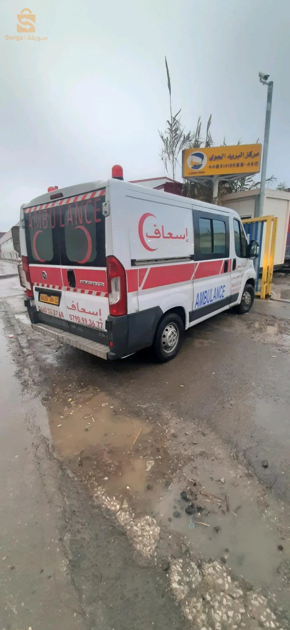 تنس ولاية الشلف