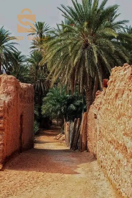 رحلة إلى الجنوب الغربي كاملا 💥