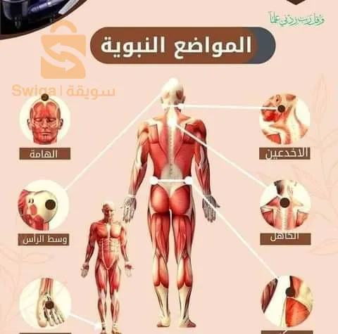 حجامة وقائية / علاجية  ؛ لتحسين الدورة الدموية ، تحفيز المناعة ،  علاج آلام الرأس ، الصداع ، الصداع النصفي ( الشقيقة) ، القولون العصبي ، ارتفاع ضغط الدم ، الخلعة ، اختلالات الجهاز الهضمي ، آلام الظهر ، آلام الرقبة ، عرق النسا ....... و كثير من الفوائد الأخرى
بإشراف خبراء  يتنقلون إليكم حيثما  كنتم
لحجز موعد  اتصل على 0656376931

أيام  العمل : الأحد ، الإثنين ، الثلاثاء ، الخميس.

العاصمة / بومرداس