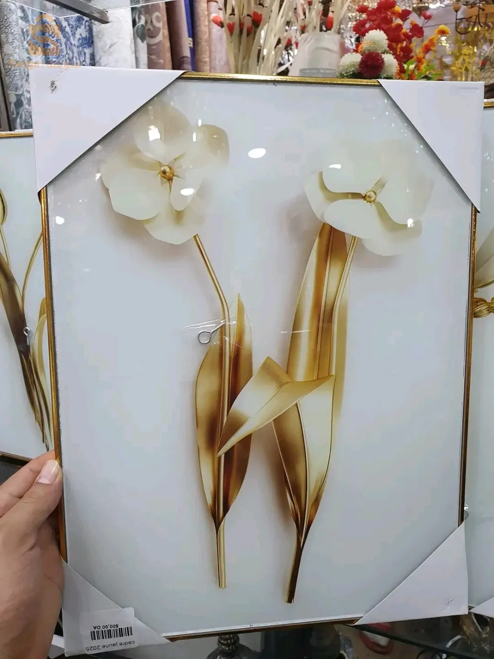 كادر