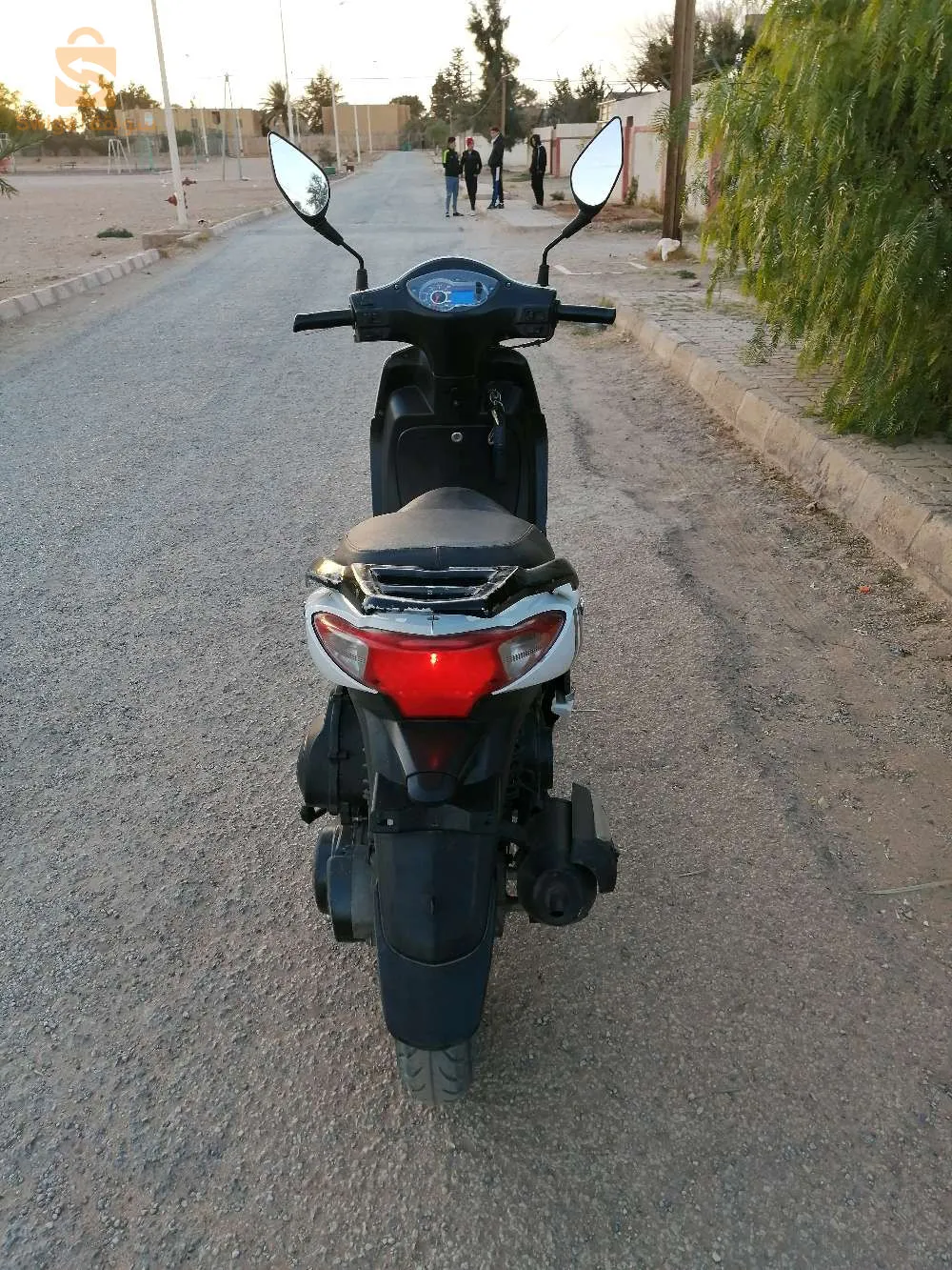 SYM s نقية