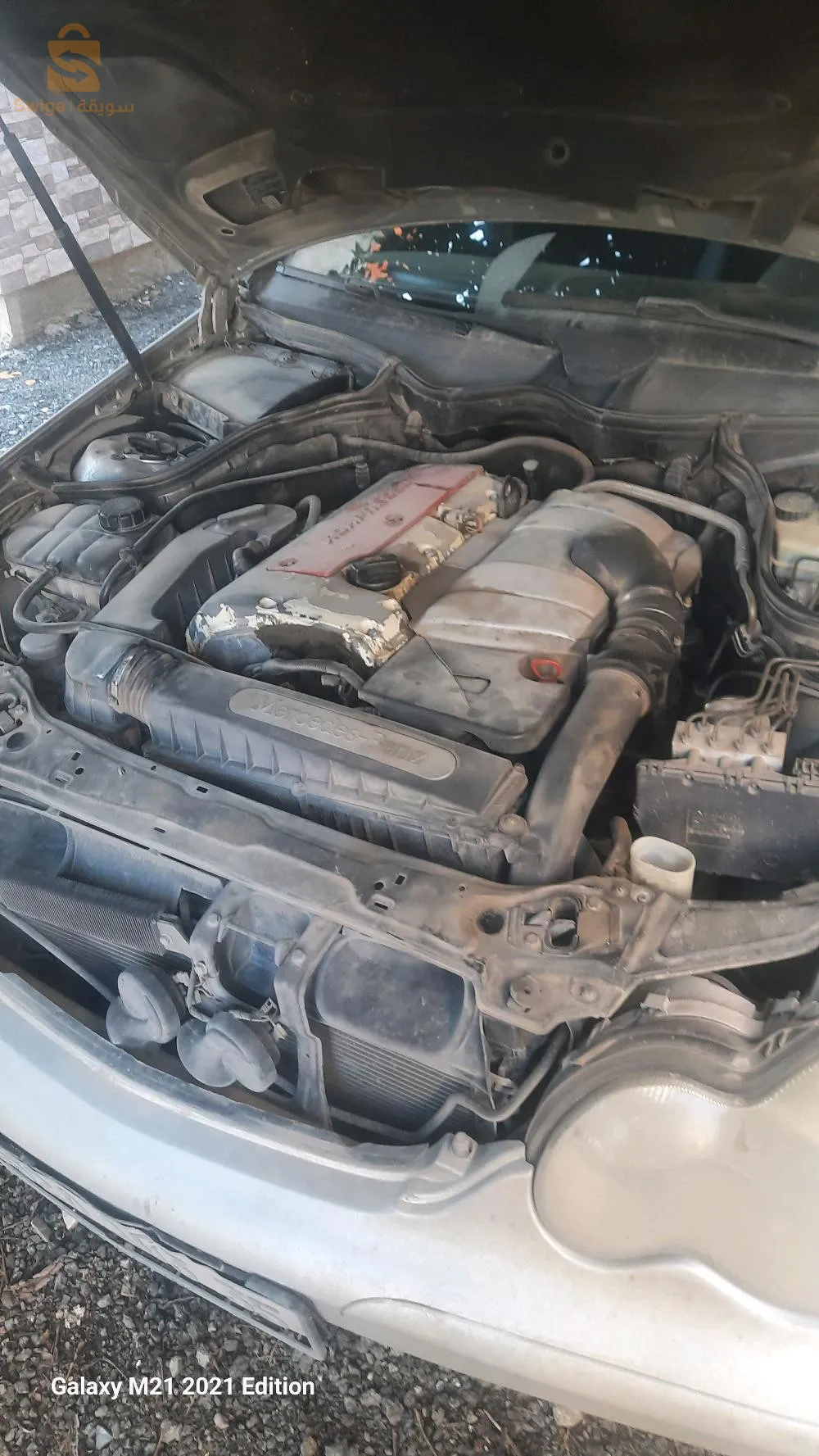 لي يحب يشري