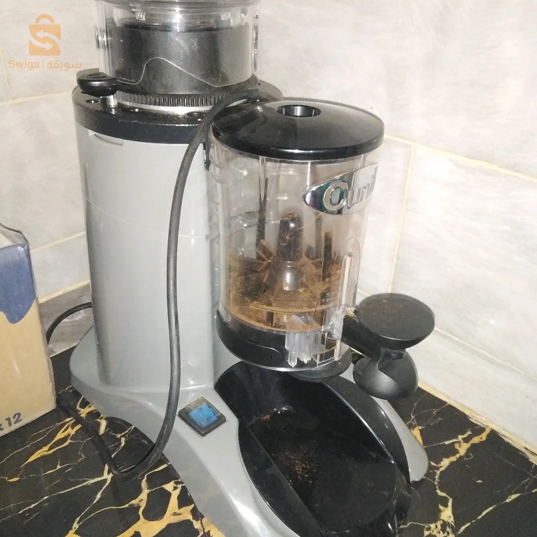 اولاد ابراهيم سعيدة