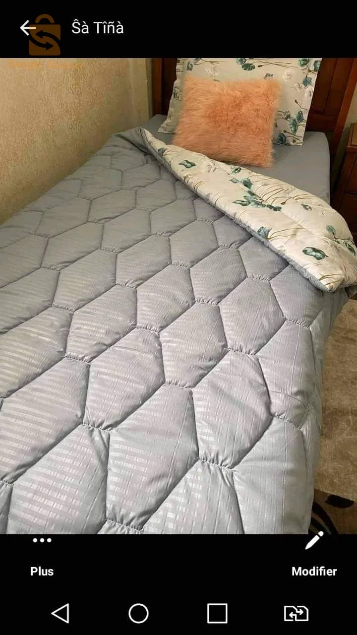 شلف
