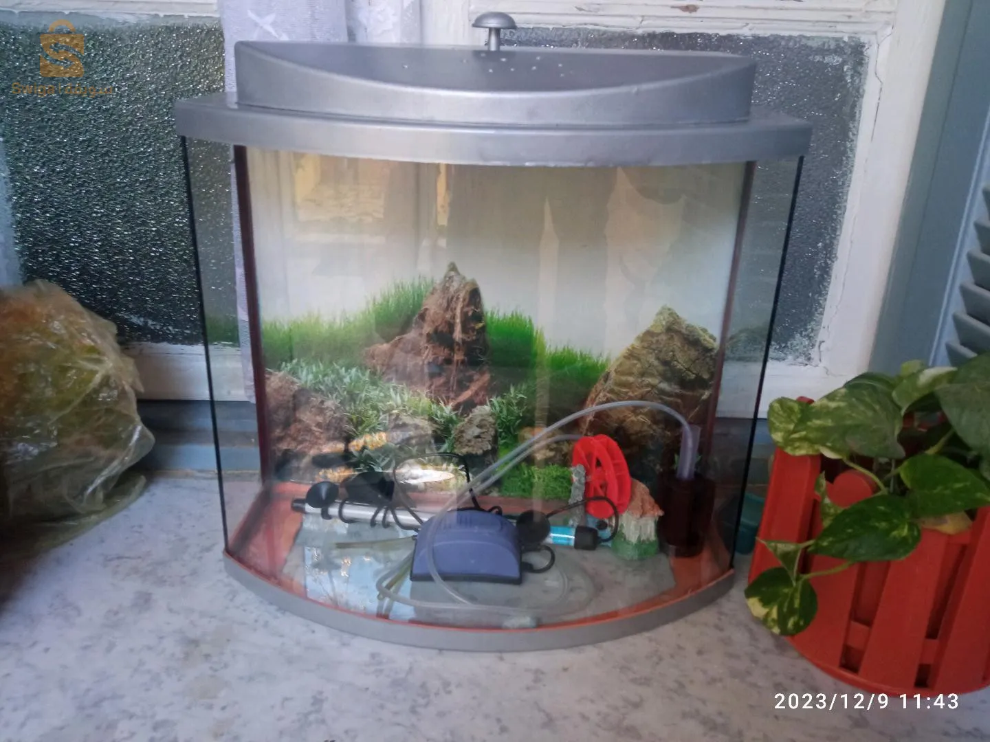 خميس مليانة