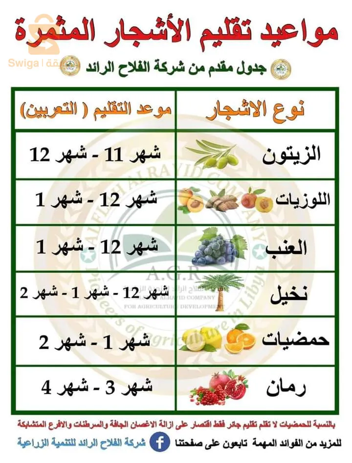 el hamiz