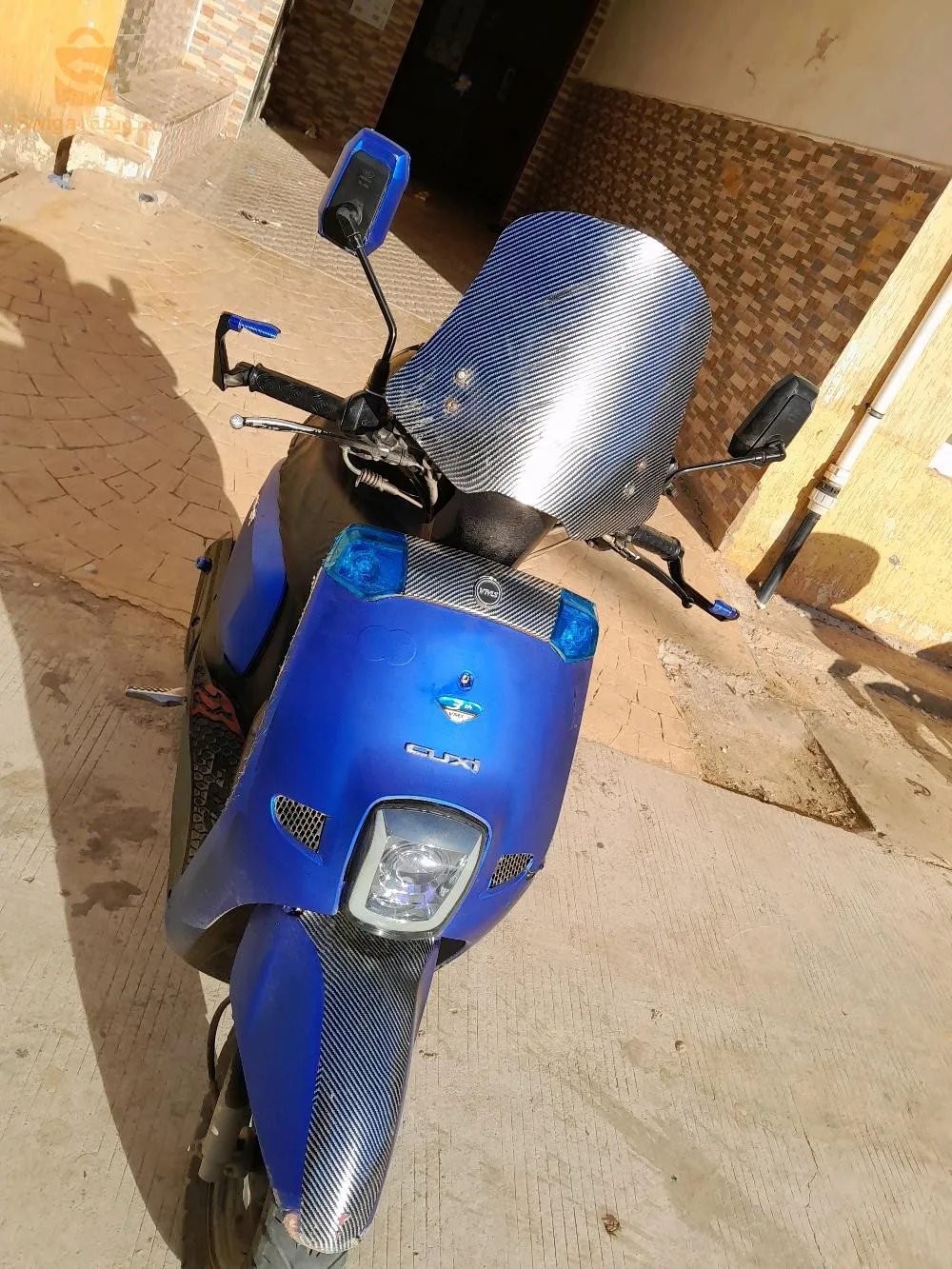 كوكسي