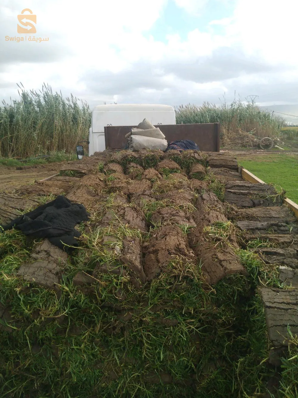 اعداد الديكورات تهيئة الحدائق