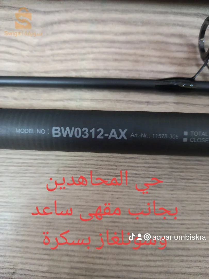 Canne carp Black widow 3mtr