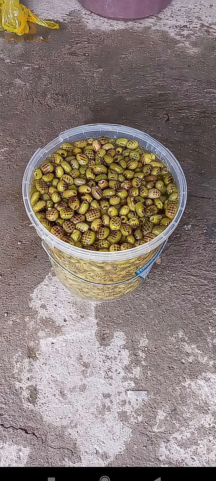 سطيف