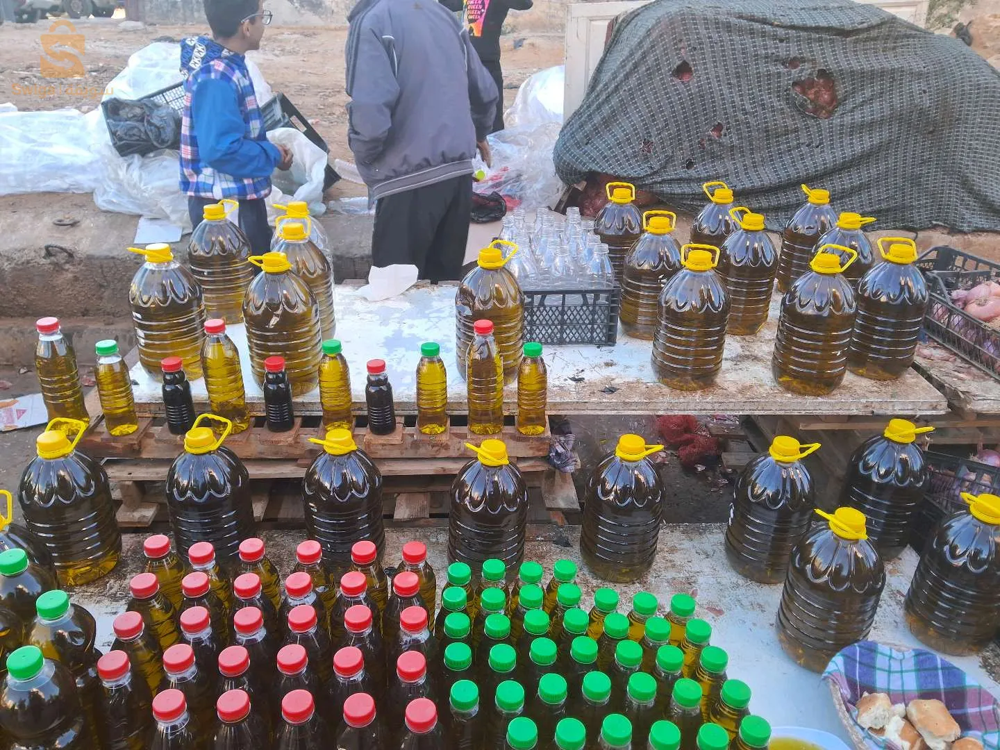 زيت زيتون جيجل تكسانة