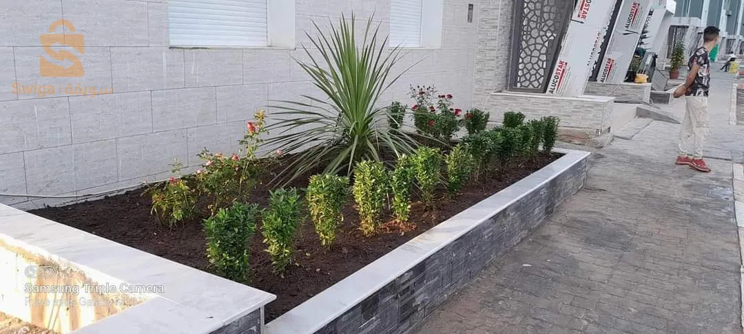 Bienvenue pour tout les travaux jardinage et décoration
Contacter chez nous sur Tél/whatsApp 0772157007/0673169475🌷🌳🌴🌹🌲🌻🌵