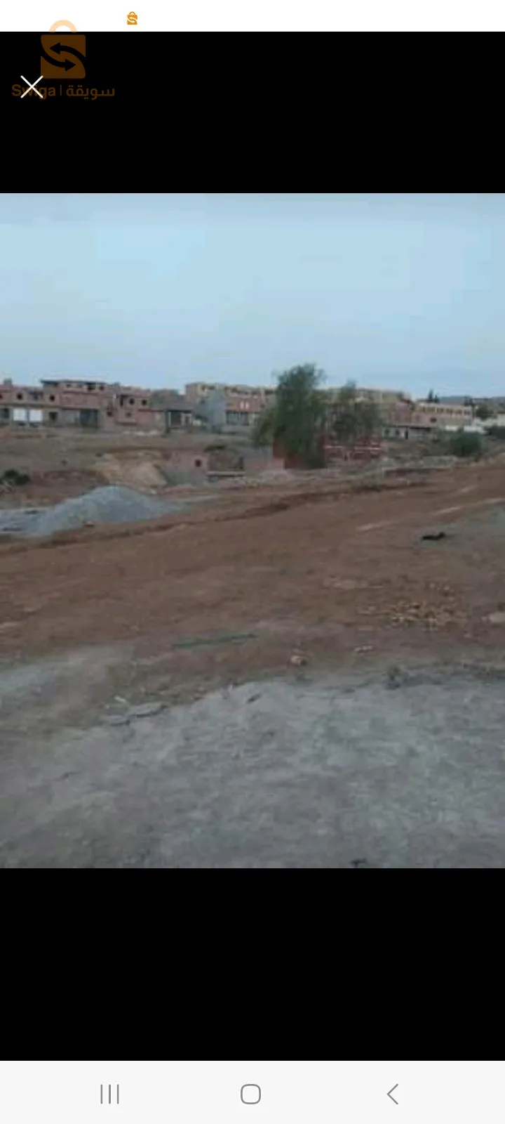 قطع أرض للبيع في بلدية سيدي الصافي دائرة بني ولاية عين تموشنت فيها كل ضروريات الحياة