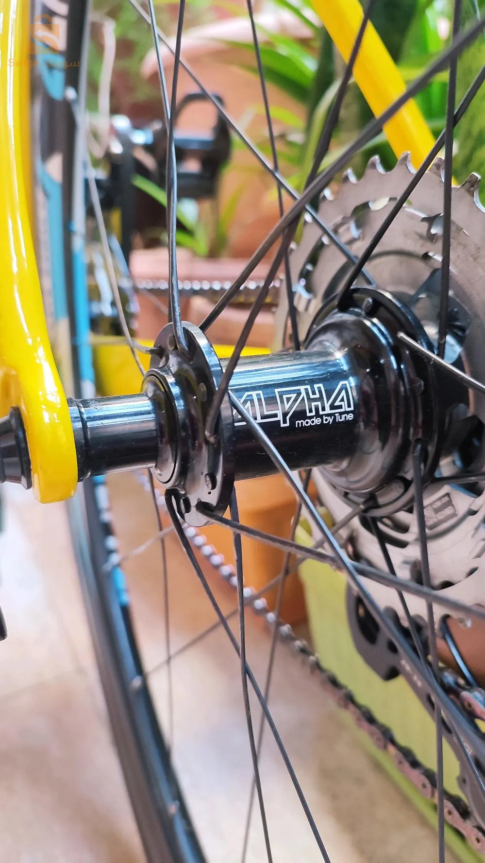 vélo course carbone