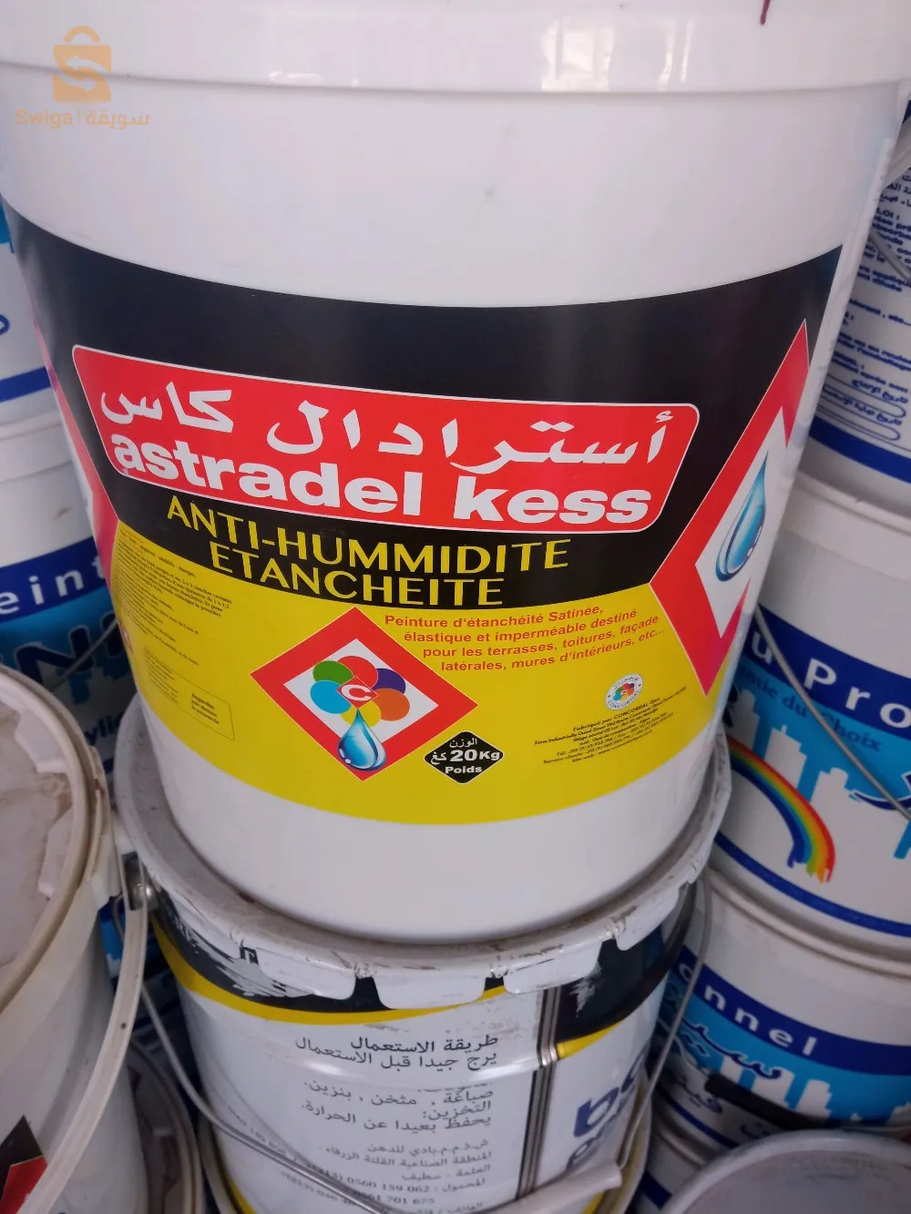 تيارت