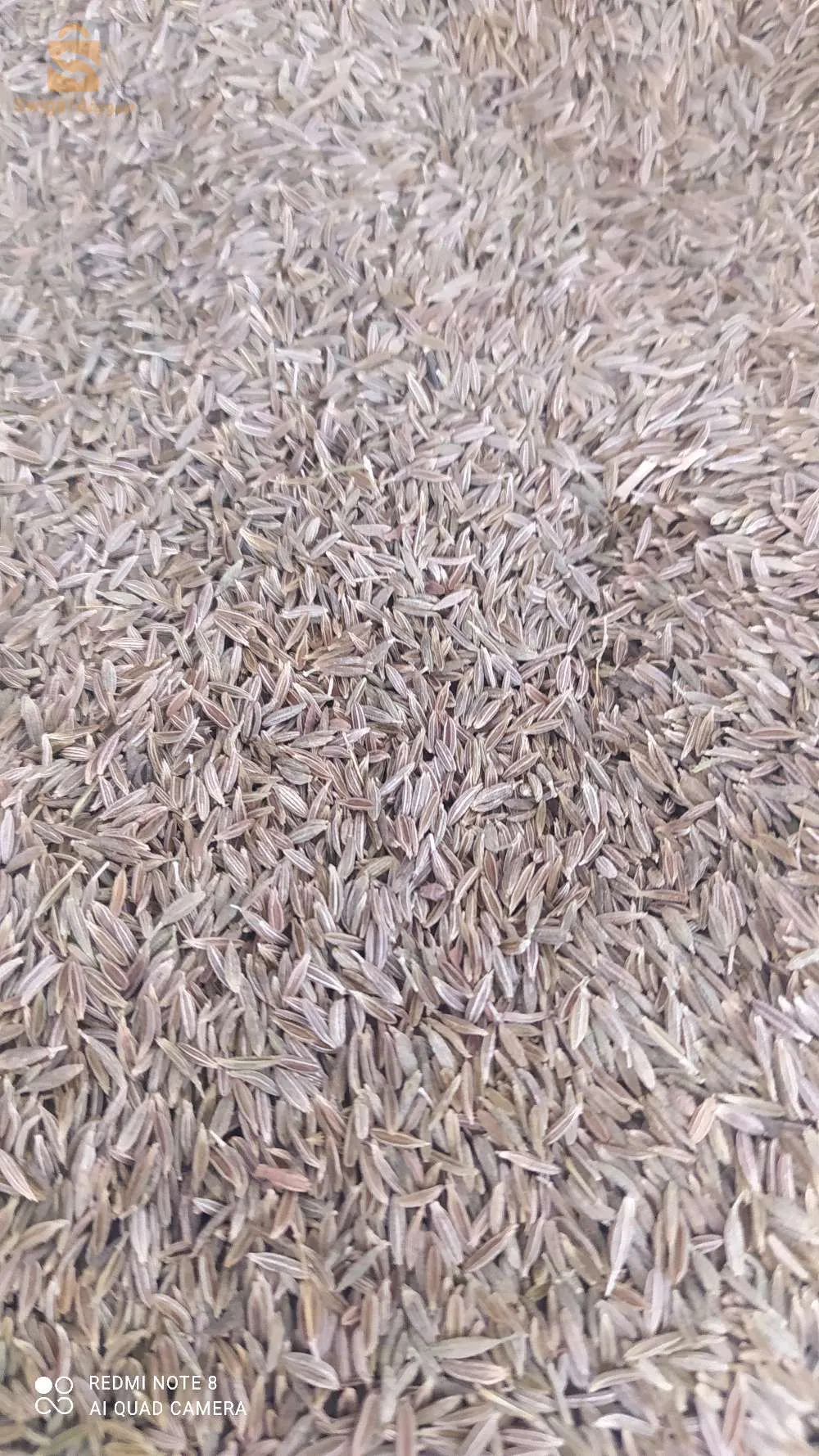 les épices et les herbes