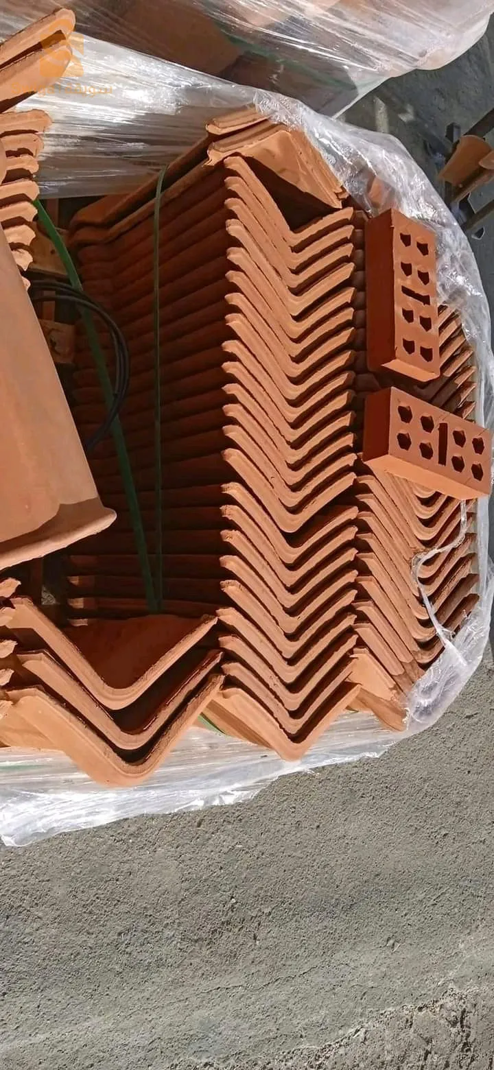 وهران السانية