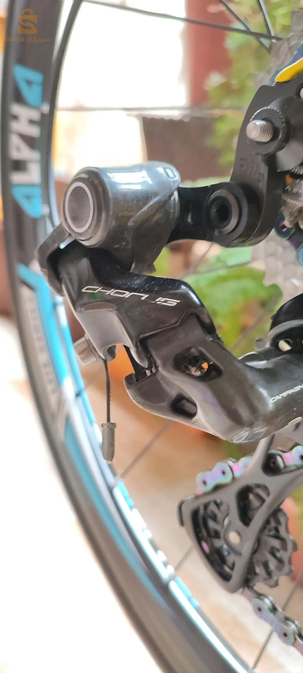 vélo course carbone