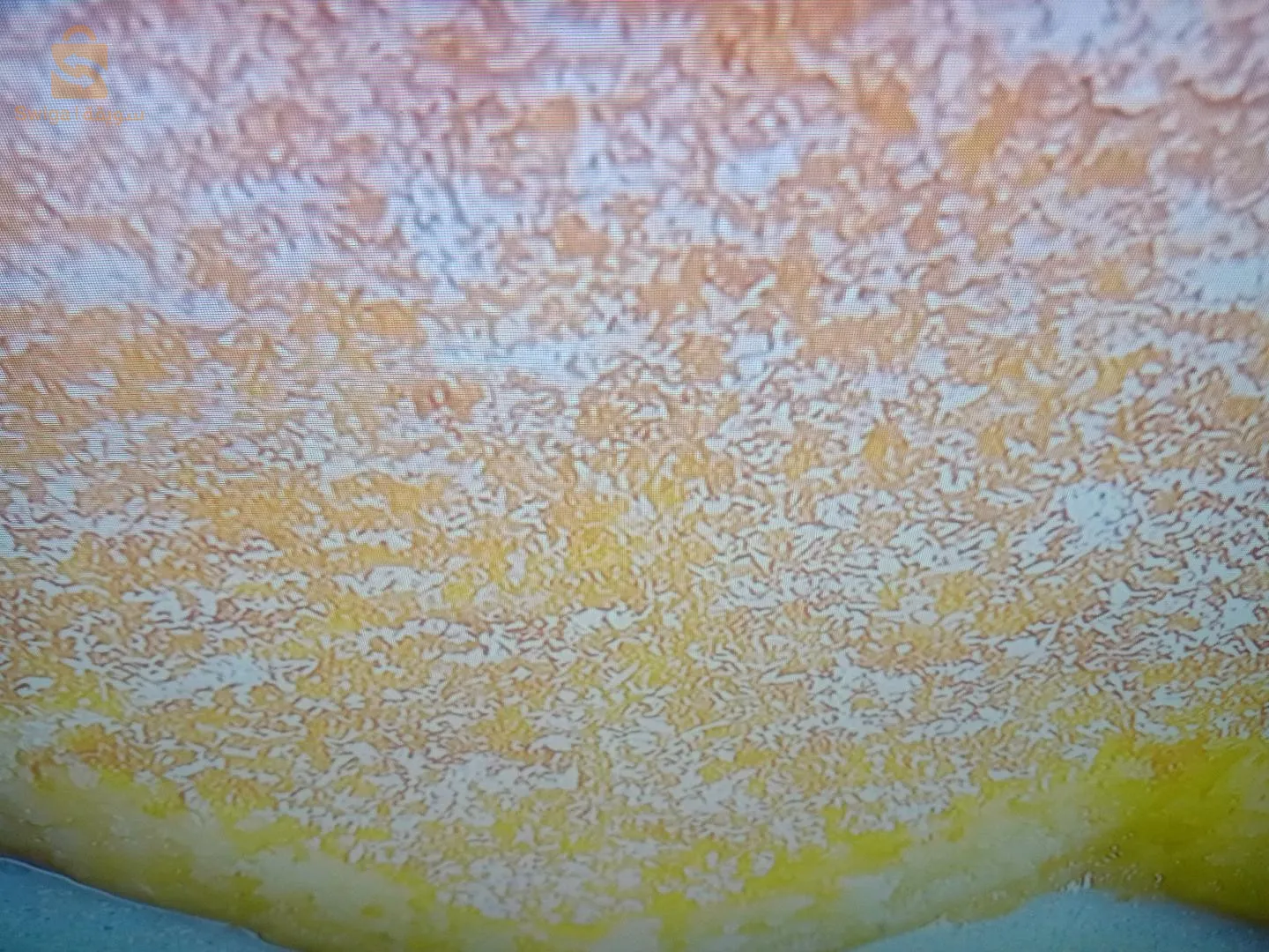 بيع حلو بسبوسة جزائرية