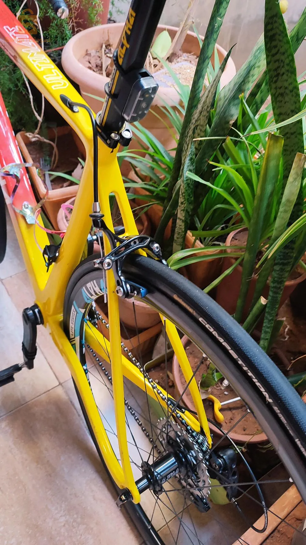 vélo course carbone