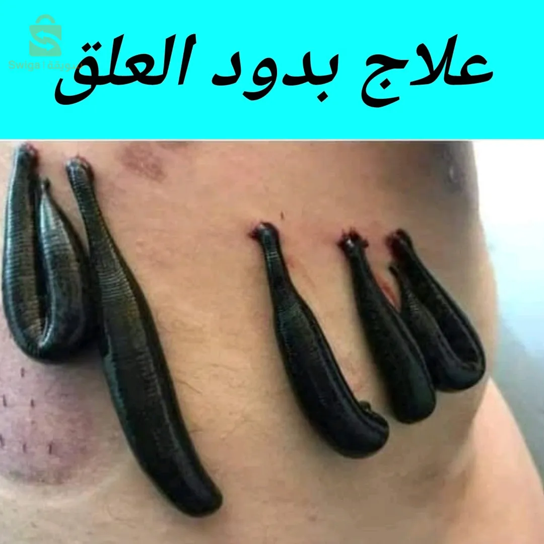 https://maps.app.goo.gl/dF33uMghyMsogAem9