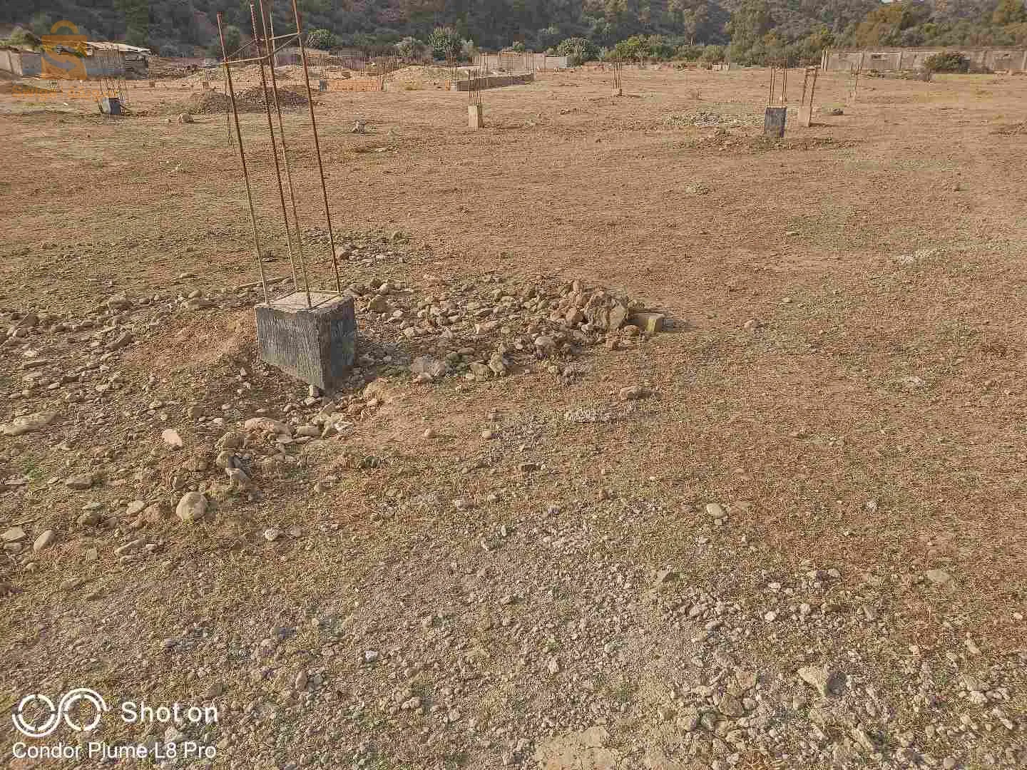 قطعة أرض 50 متر فيه 6 دومى پوطوا في منطقة جبابرة البليدة