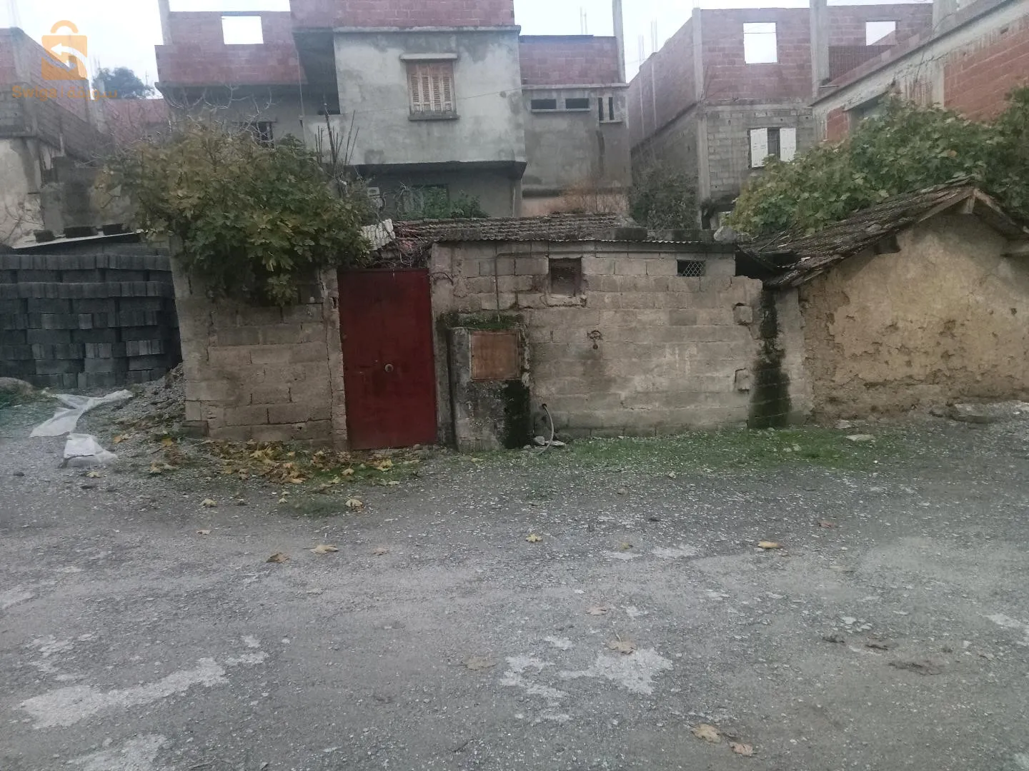 ابن زياد الفيلاج