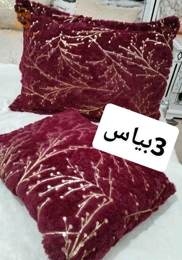 الجزائر