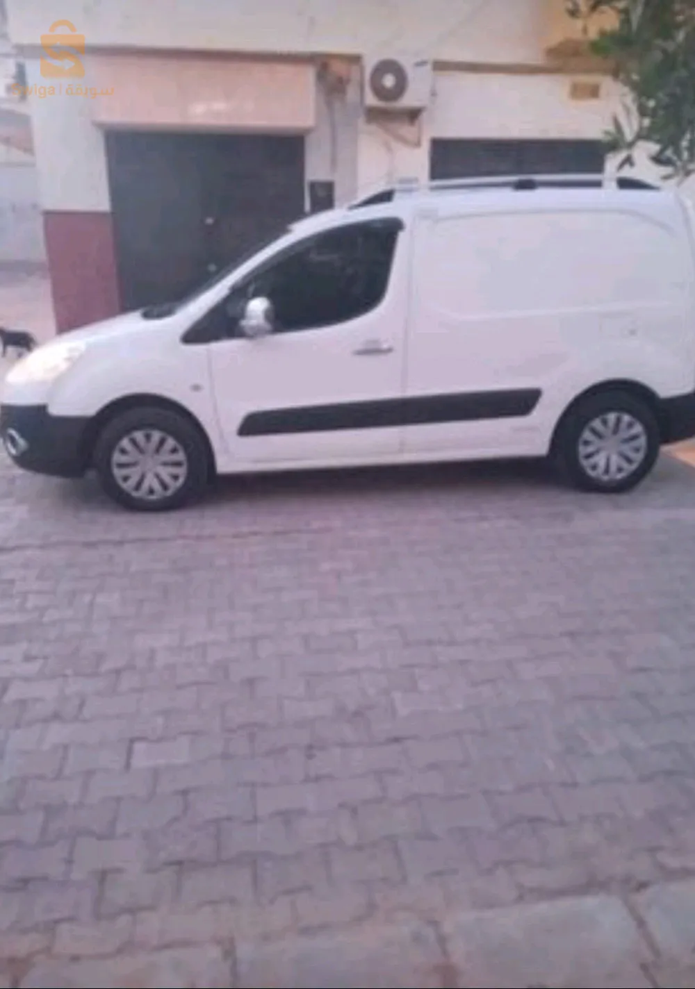 برتنار تيبي