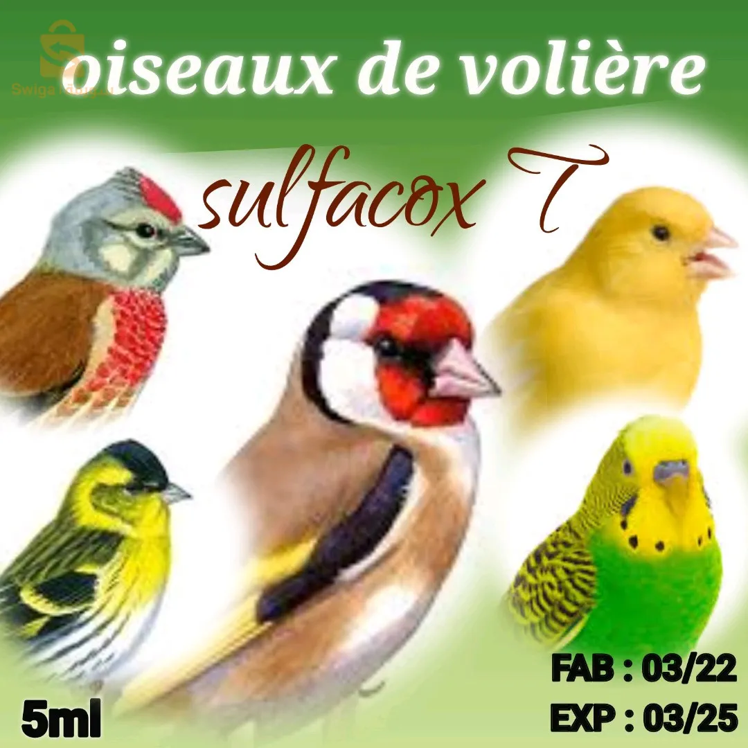 vitamine pour oiseaux de volière