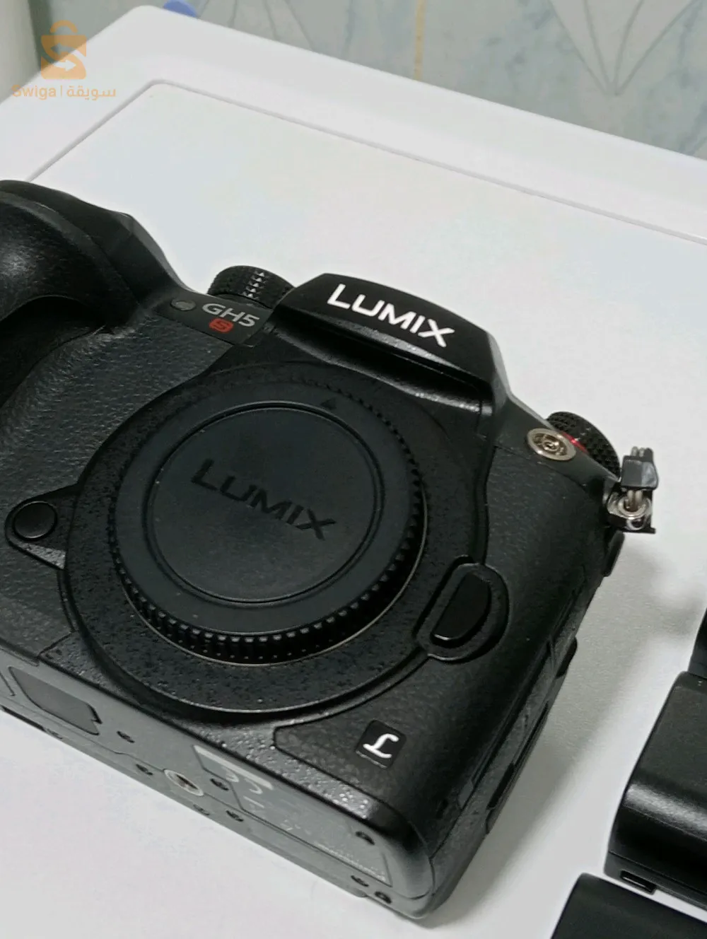 lumix gh5s