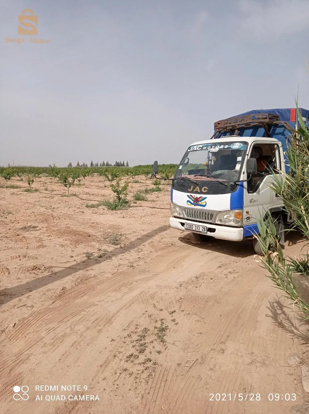 المسيلة وما جاورها